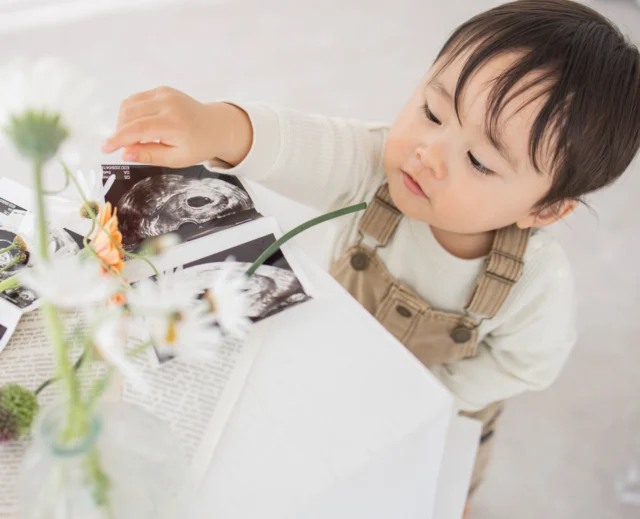 📸 photo atelier anone.

　栃木県足利市／ママ2人で運営する
　　　　やさしいフォトスタジオ

⋱ ⋰ ⋱ ⋰ ⋱ ⋱ ⋰ ⋱ ⋰ ⋱ ⋱ ⋰ ⋱ ⋰ ⋱

　　　  栃木県足利市にある
　　  photo atelier anone. は、
　  子育て奮闘中のママ2人が
　　　  心をこめて運営する
　　あたたかい写真スタジオです。

　　　  育児の経験を活かした
　  やさしくて安心できる撮影空間。
　  赤ちゃんのぐずりも、
　  子どもの照れも、
　  全部まるごと受けとめます🌷

⋱ ⋰ ⋱ ⋰ ⋱ ⋱ ⋰ ⋱ ⋰ ⋱ ⋱ ⋰ ⋱ ⋰ ⋱