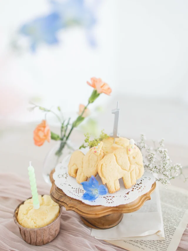 📸 photo atelier anone.

　栃木県足利市｜ママ2人のフォトスタジオ

🌿 ⸝⸝ ⸝⸝ ⸝⸝ ⸝⸝ ⸝⸝ ⸝⸝ 🌿

やわらかな初夏の光と、
心地よい風が通り抜ける空間で𓂃◌𓈒𓐍

photo atelier anone. は、
子育て中のママ2人が営む
小さな写真スタジオです🕊️🤍

赤ちゃんのぐずりも、
子どもの照れた表情も、
その子らしい大切な一瞬🌼

慌ただしく過ぎていく毎日の中で、
いつか懐かしく思い出す
“今” を写真に残します📖✨

🌿 ⸝⸝ ⸝⸝ ⸝⸝ ⸝⸝ ⸝⸝ ⸝⸝ 🌿

何年後も、
その日の空気まで思い出せるような一枚を。